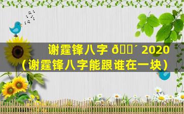 谢霆锋八字 🐴 2020（谢霆锋八字能跟谁在一块）